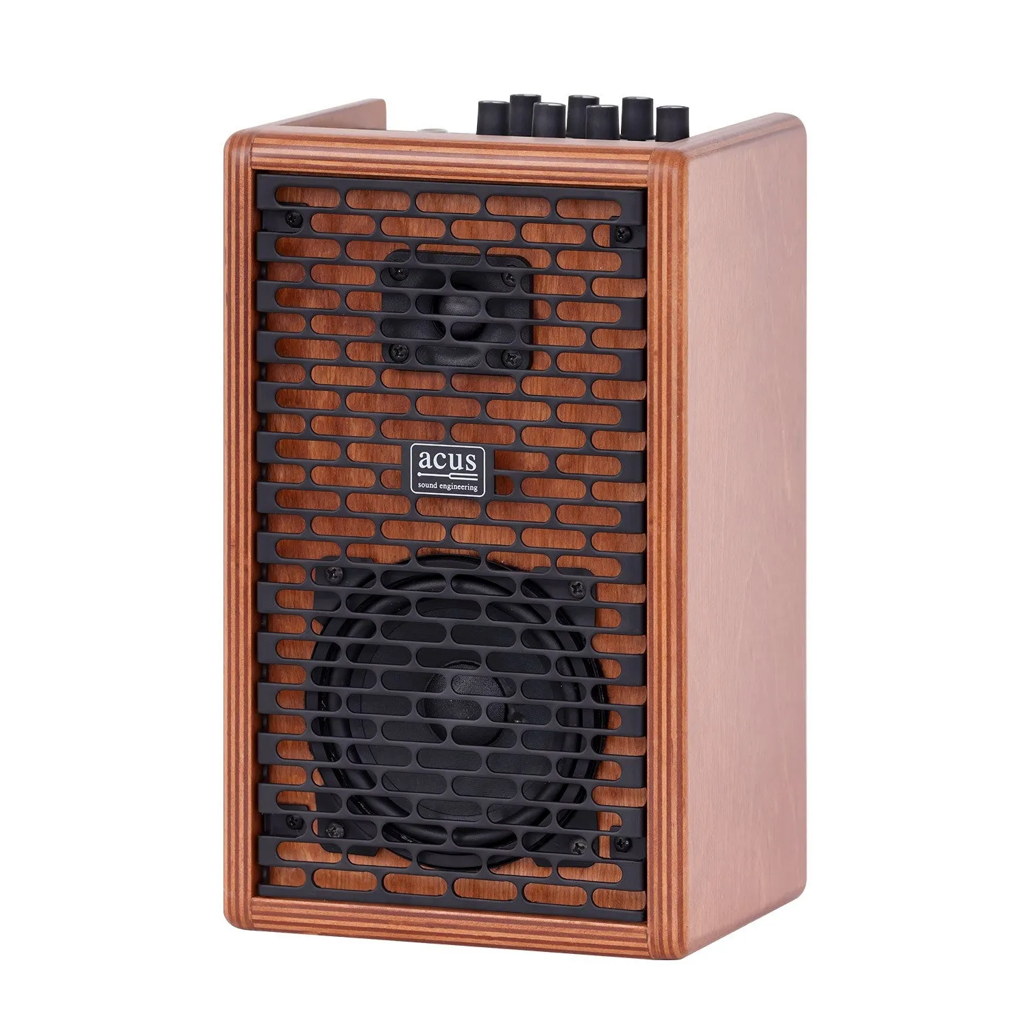 ACUS ONE FORSTRINGS 4 Ferdi 40-Watt Acoustic Guitar Amplifier (Cherry Wood)