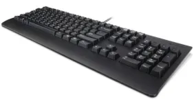 Keyboard Usb Trdtnl Kb Bk Den