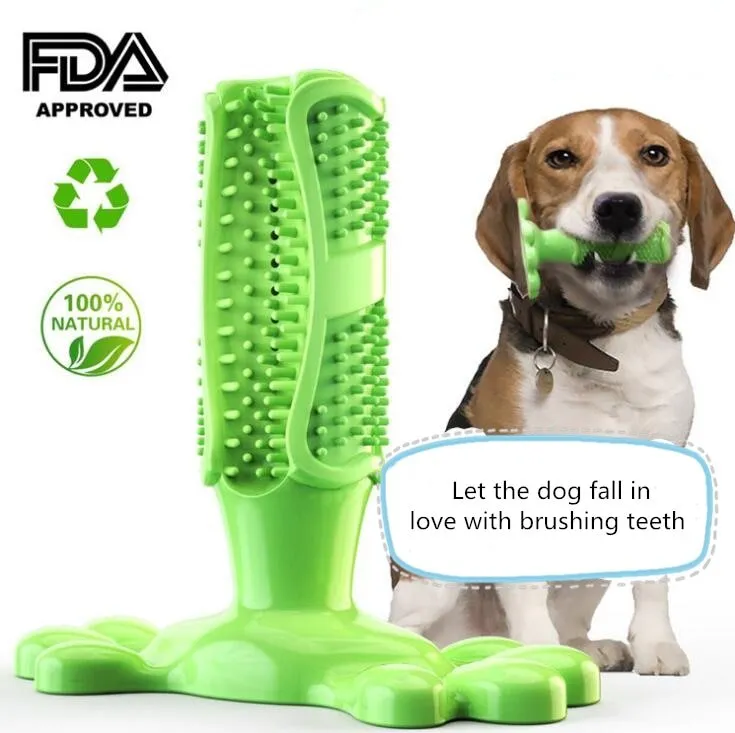 Play & Clean: Dog Toothbrush Chew Toy!