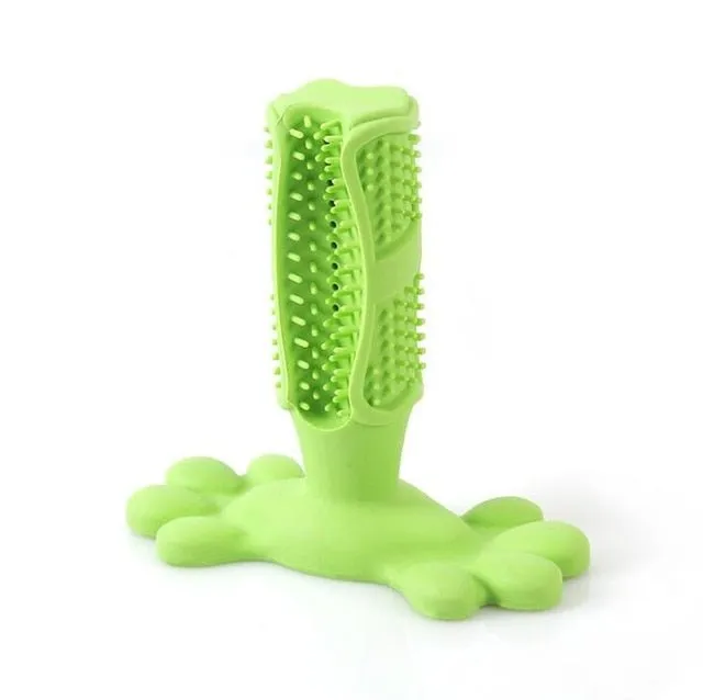 Play & Clean: Dog Toothbrush Chew Toy!