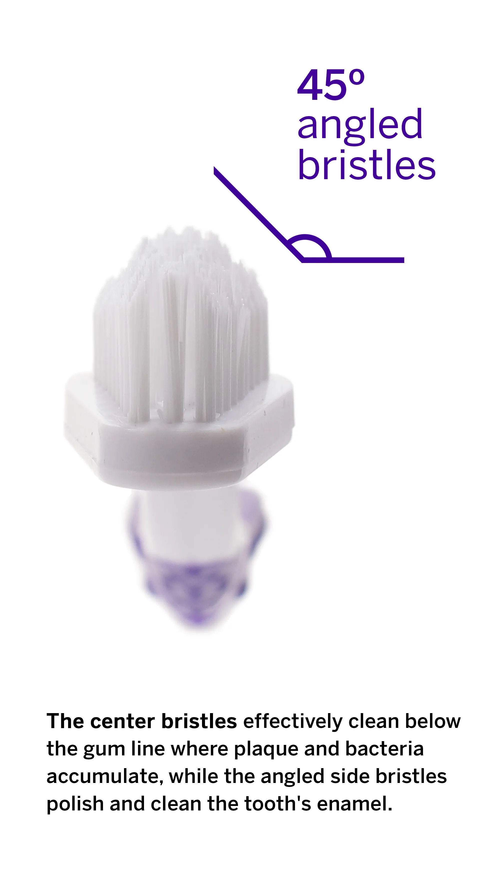 Professional Dog Toothbrush - Patented 45° Dual-Ended Brush Head